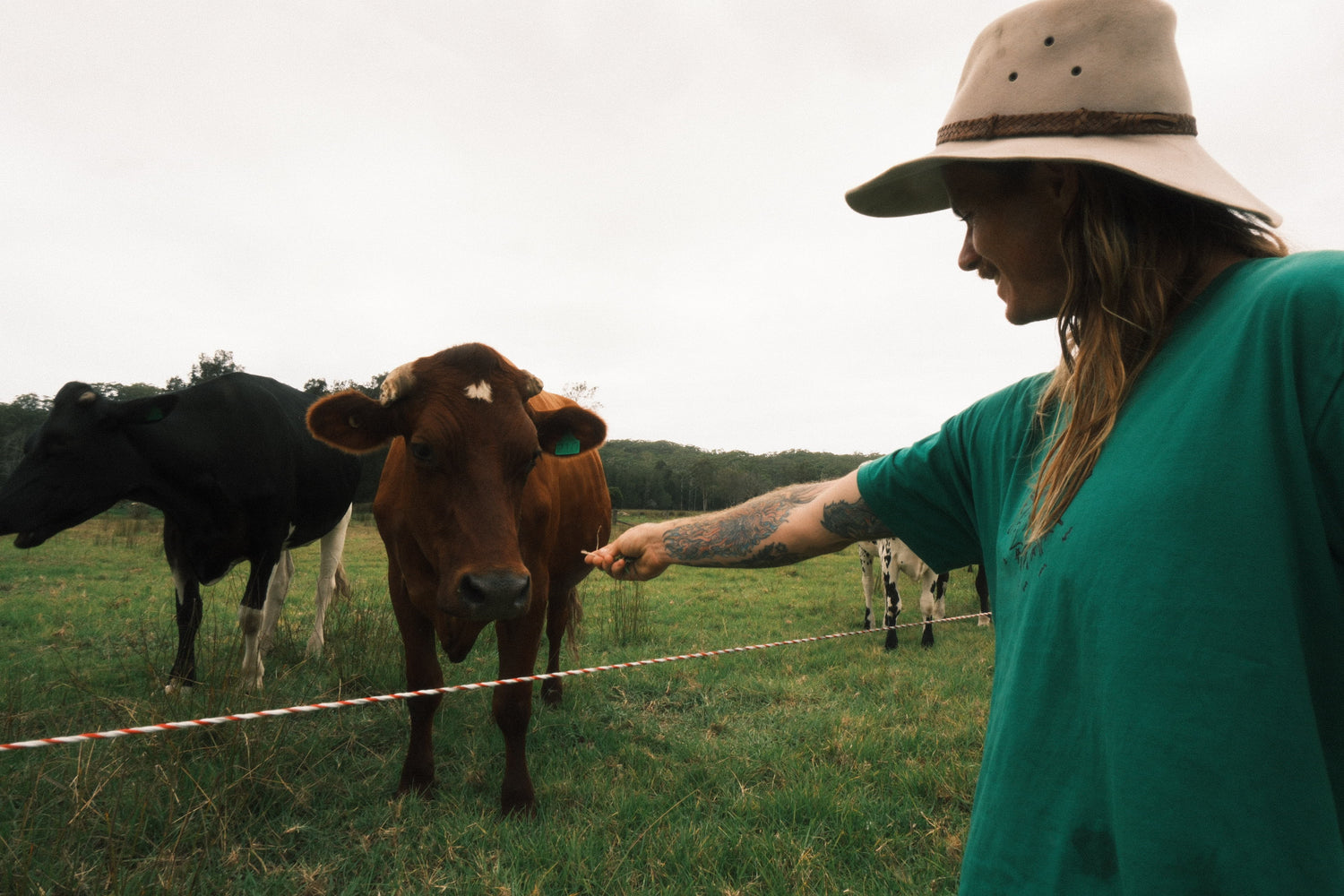 Collective collection